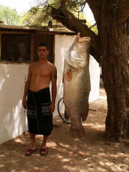 Y as pas une erreur dans l'ennonc� ???