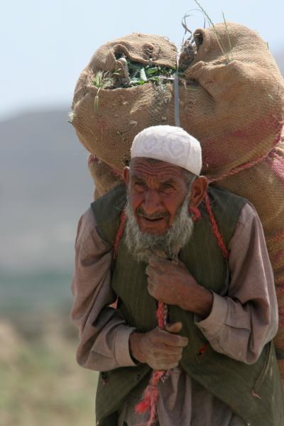 Allez encore une ptite insolite 